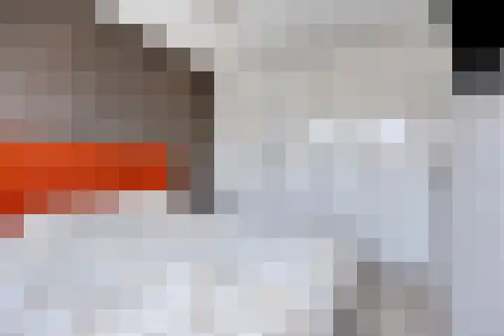 Lakensnijdersgilde 21 Hasselt thumbnail 17