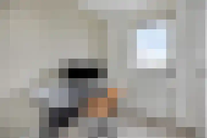 Lakensnijdersgilde 21 Hasselt thumbnail 18