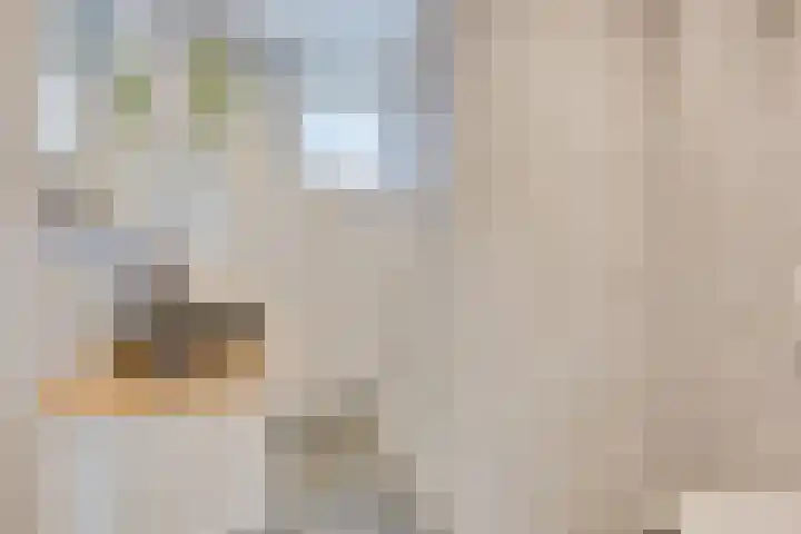 Lakensnijdersgilde 21 Hasselt thumbnail 20
