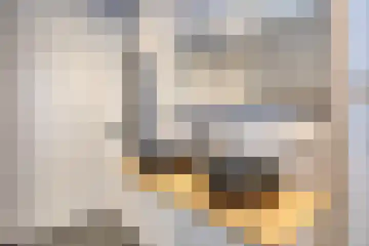 Lakensnijdersgilde 21 Hasselt thumbnail 21