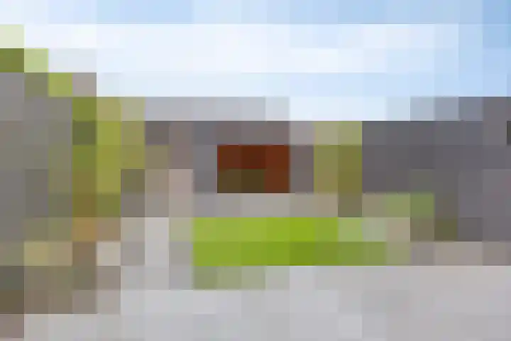 Lakensnijdersgilde 21 Hasselt thumbnail 25
