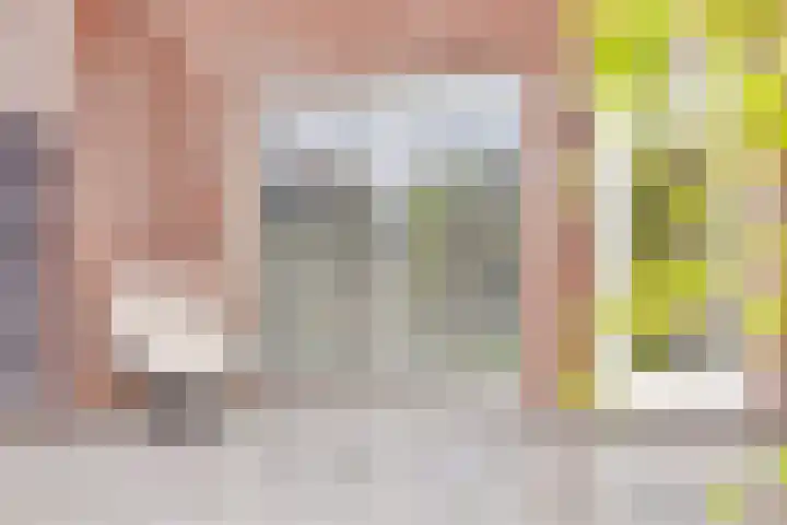 Lakensnijdersgilde 21 Hasselt thumbnail 27