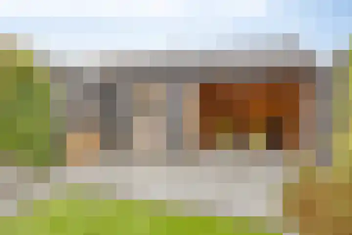 Lakensnijdersgilde 21 Hasselt thumbnail 28