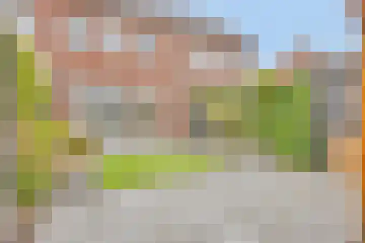 Lakensnijdersgilde 21 Hasselt thumbnail 30