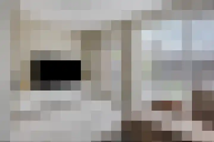 Lakensnijdersgilde 21 Hasselt thumbnail 6