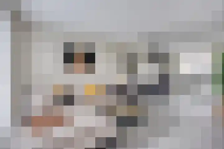 Lakensnijdersgilde 21 Hasselt thumbnail 7
