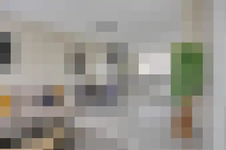 Lakensnijdersgilde 21 Hasselt thumbnail 8