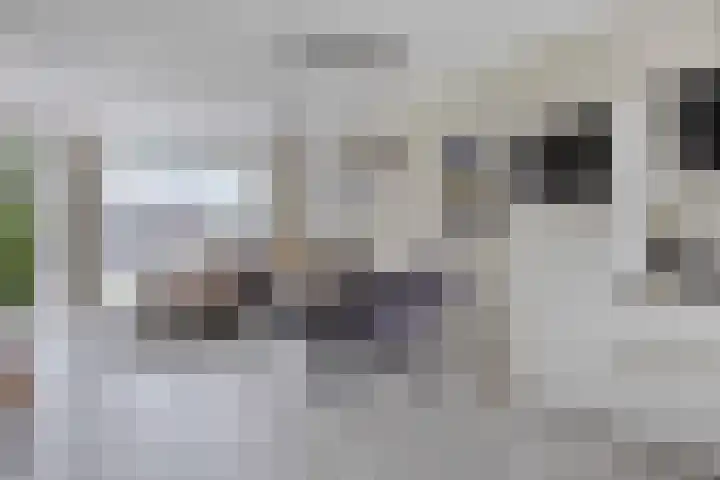 Lakensnijdersgilde 21 Hasselt thumbnail 9