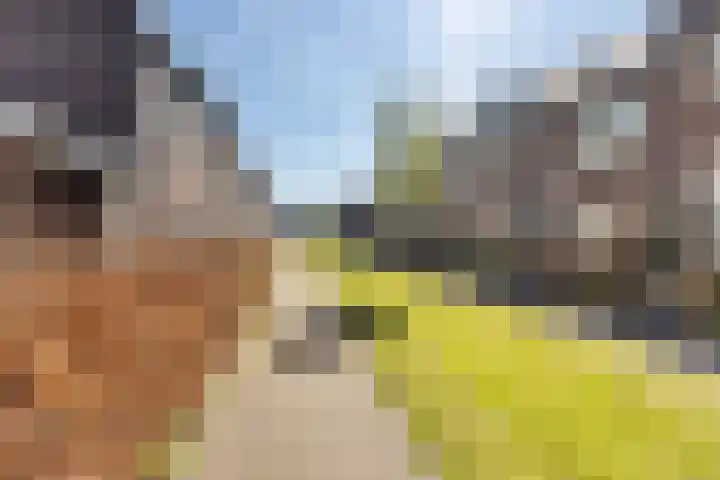 Lakensnijdersgilde 25 Hasselt thumbnail 10