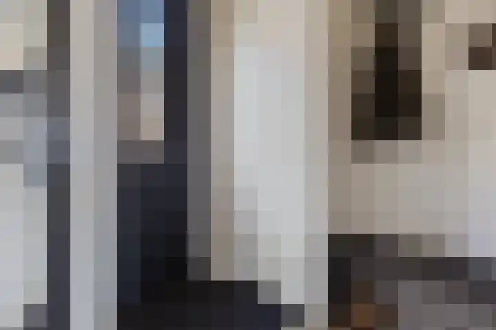 Lakensnijdersgilde 25 Hasselt thumbnail 14