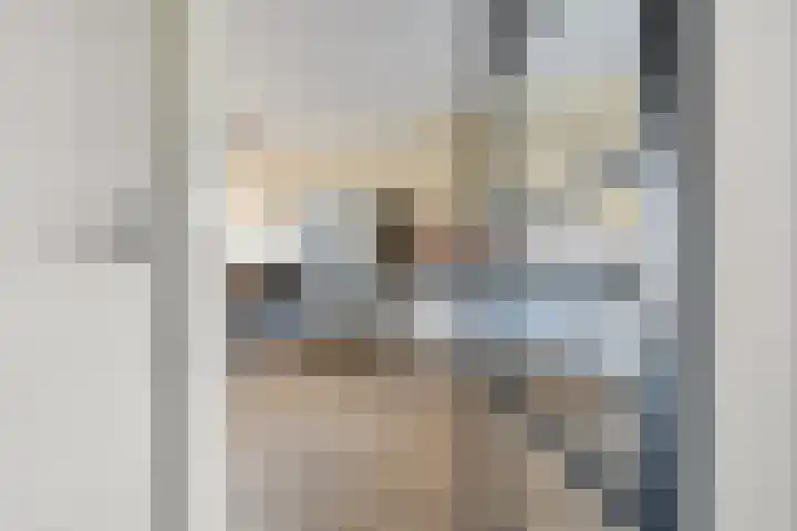 Lakensnijdersgilde 25 Hasselt thumbnail 15