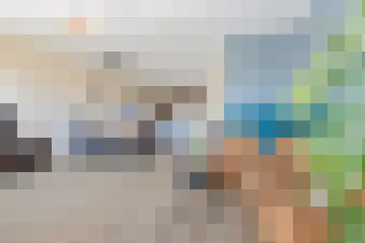 Lakensnijdersgilde 25 Hasselt thumbnail 22