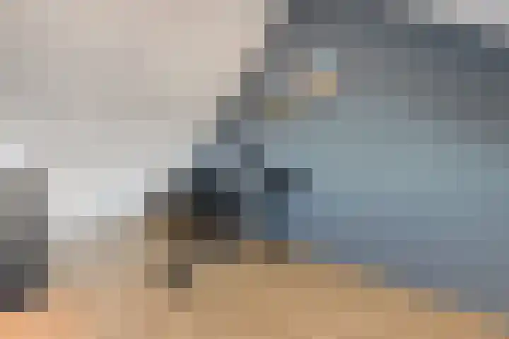 Lakensnijdersgilde 25 Hasselt thumbnail 39