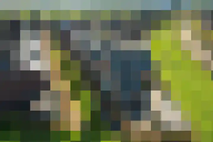 Lakensnijdersgilde 25 Hasselt thumbnail 4