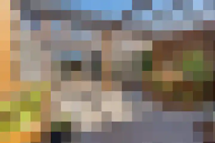 Lakensnijdersgilde 25 Hasselt thumbnail 41