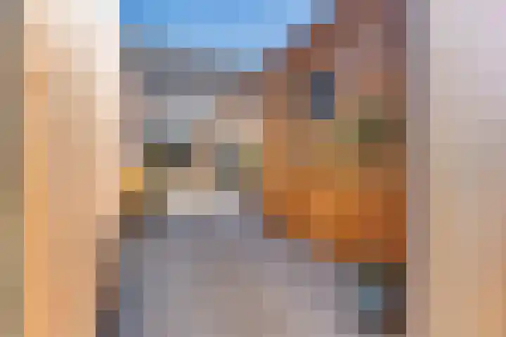 Lakensnijdersgilde 25 Hasselt thumbnail 43