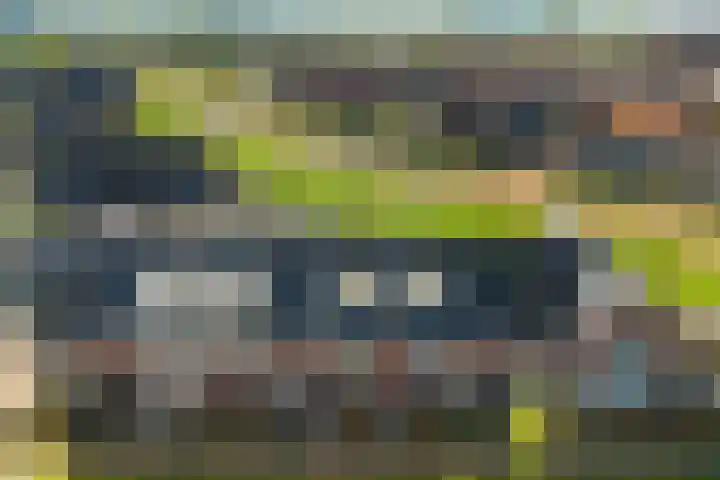 Lakensnijdersgilde 25 Hasselt thumbnail 6