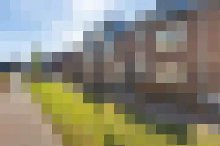 Lakensnijdersgilde 25 Hasselt thumbnail 9
