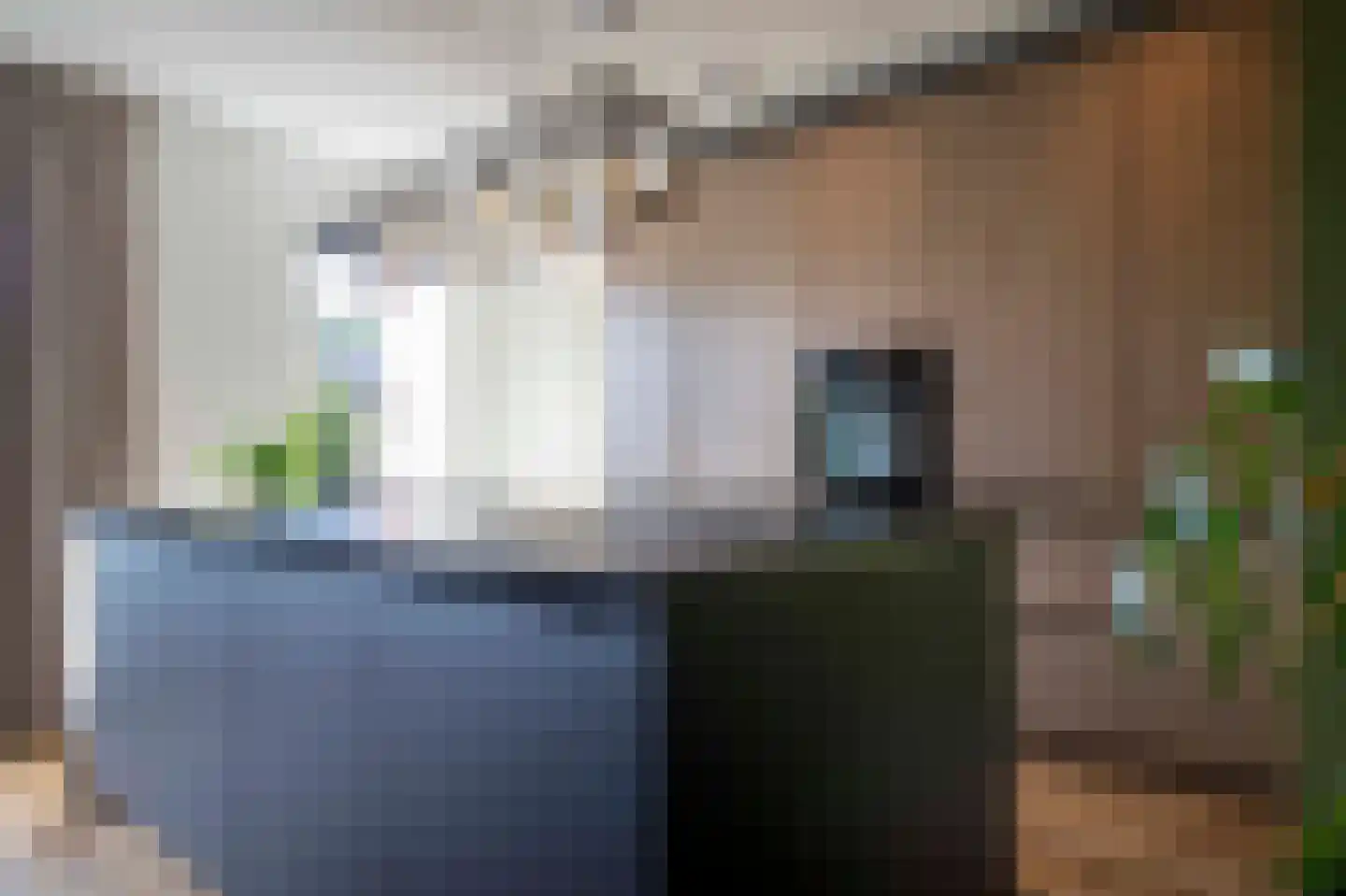 Lakensnijdersgilde 34 Hasselt thumbnail 21