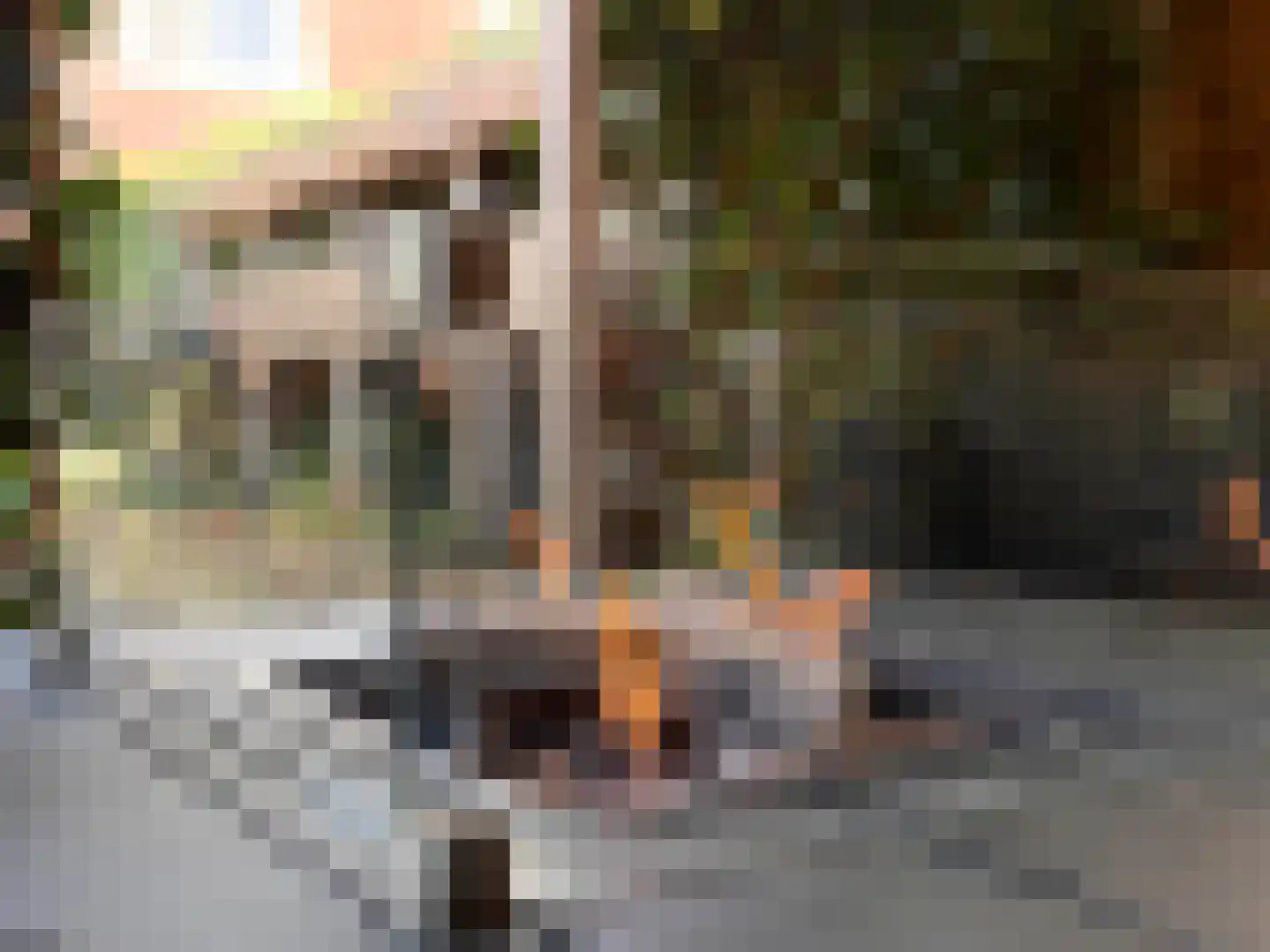 Lakensnijdersgilde 34 Hasselt thumbnail 36