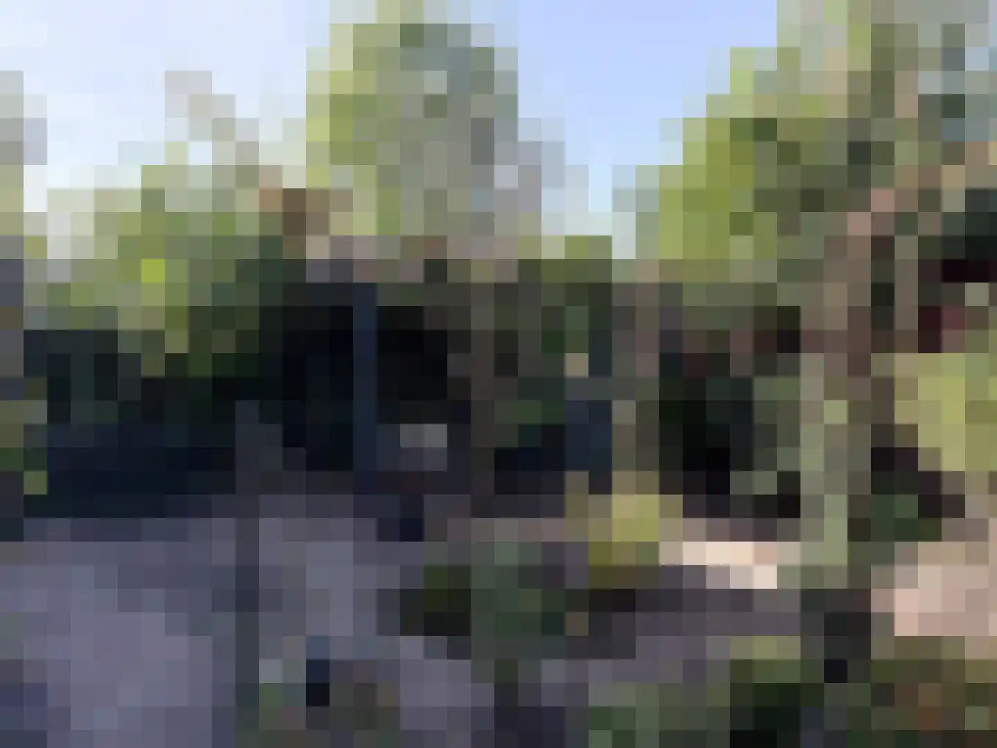 Lakensnijdersgilde 34 Hasselt thumbnail 39