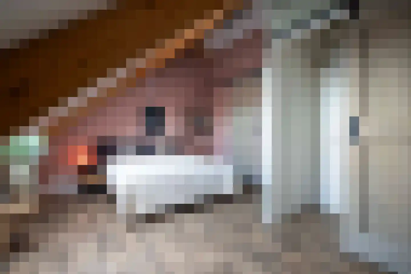 Lakensnijdersgilde 34 Hasselt thumbnail 52