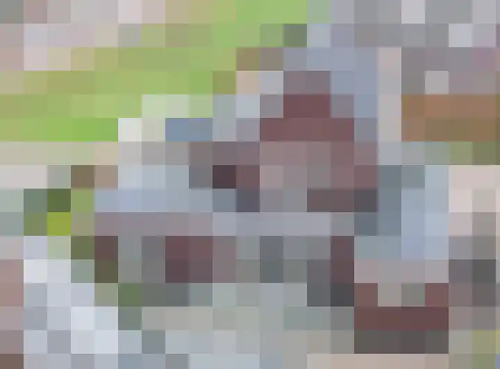 Lakensnijdersgilde 4 Hasselt thumbnail 24