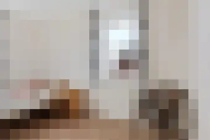 Lakensnijdersgilde 4 Hasselt thumbnail 29