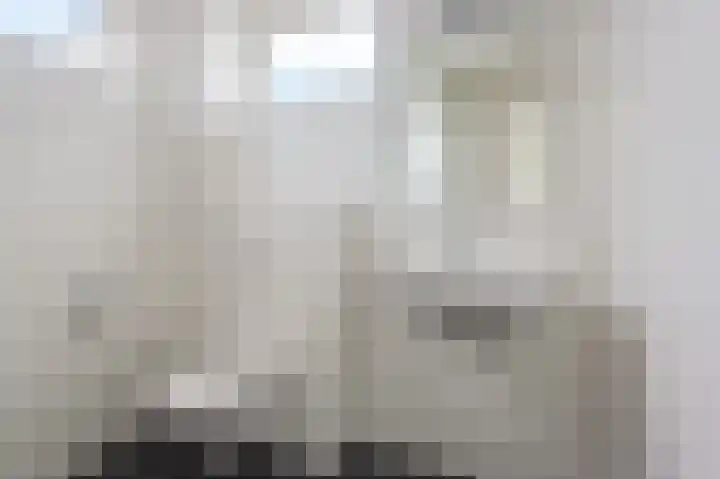 Lakensnijdersgilde 4 Hasselt thumbnail 31