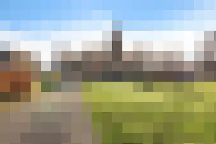 Lakensnijdersgilde 4 Hasselt thumbnail 34