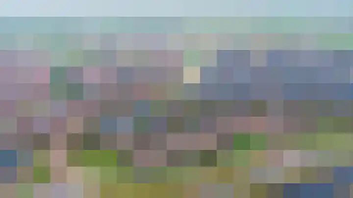 Lakensnijdersgilde 4 Hasselt thumbnail 6