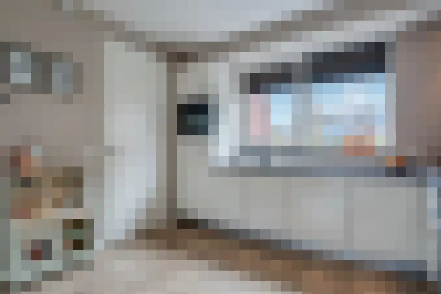 Lakensnijdersgilde 45 Hasselt thumbnail 15