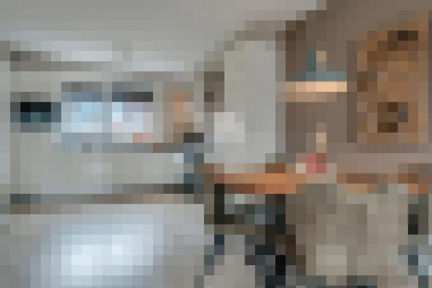Lakensnijdersgilde 45 Hasselt thumbnail 19