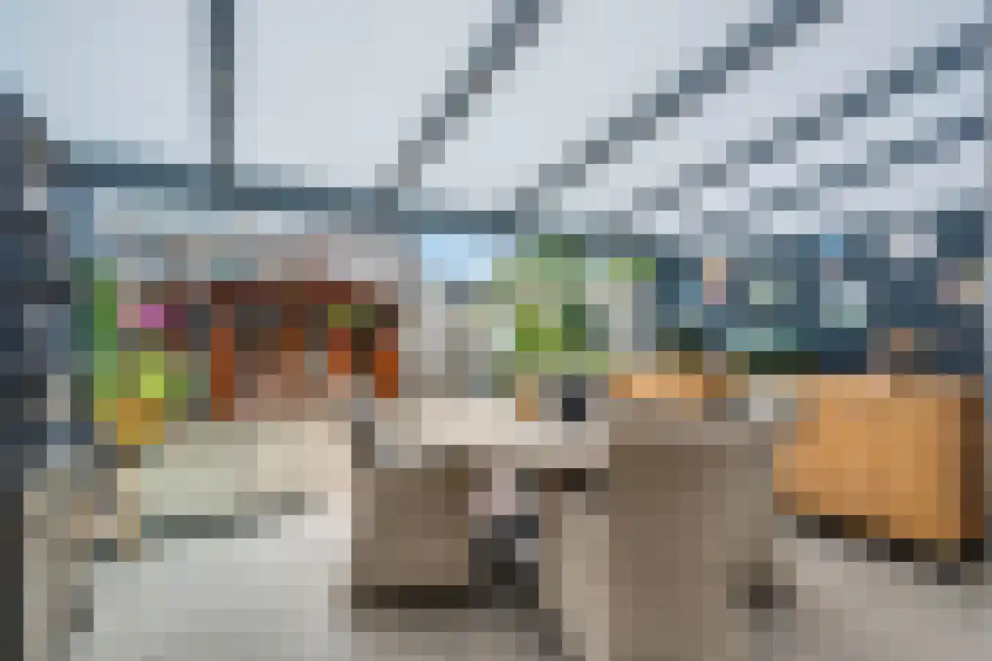 Lakensnijdersgilde 45 Hasselt thumbnail 24