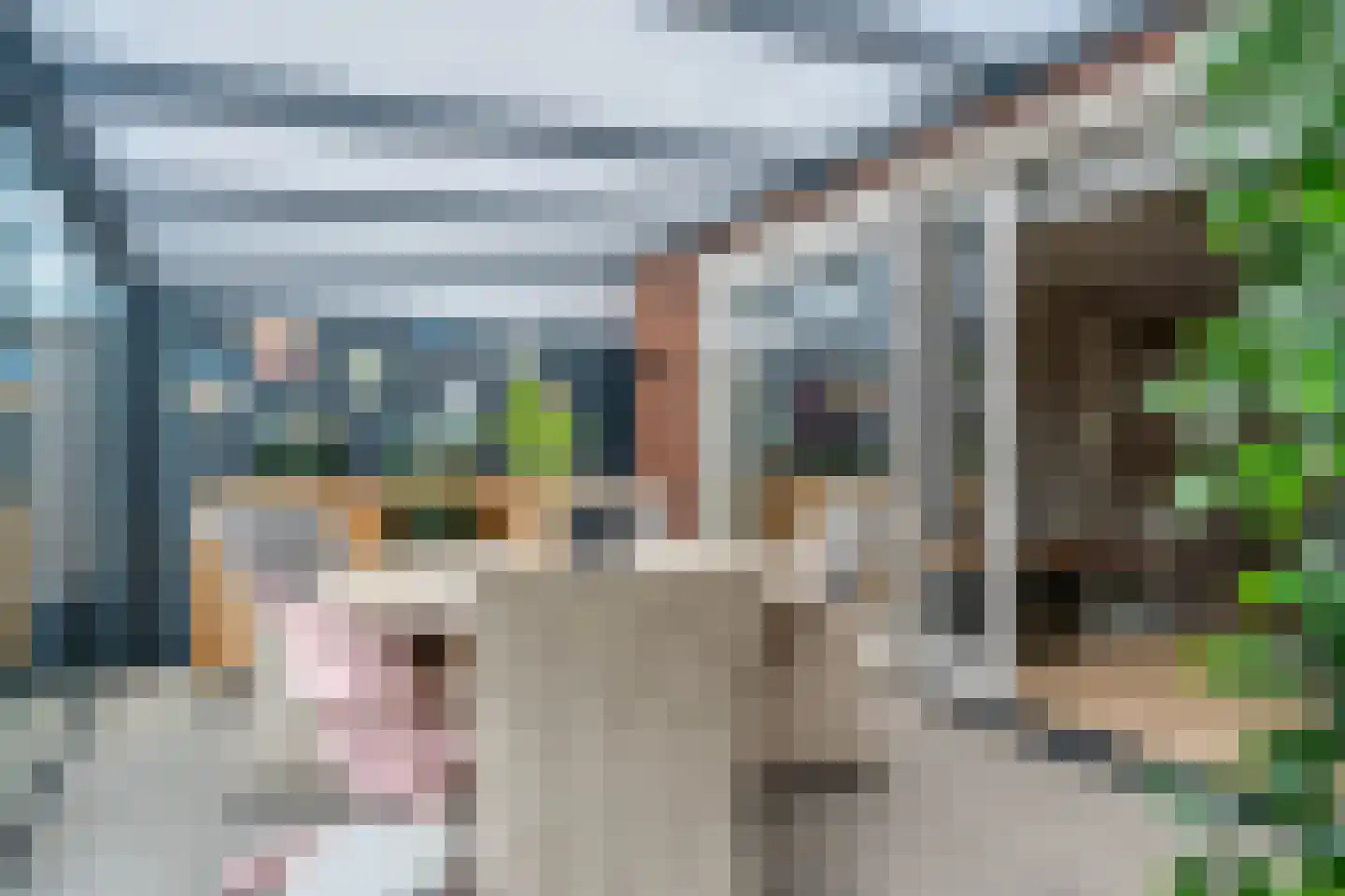 Lakensnijdersgilde 45 Hasselt thumbnail 25