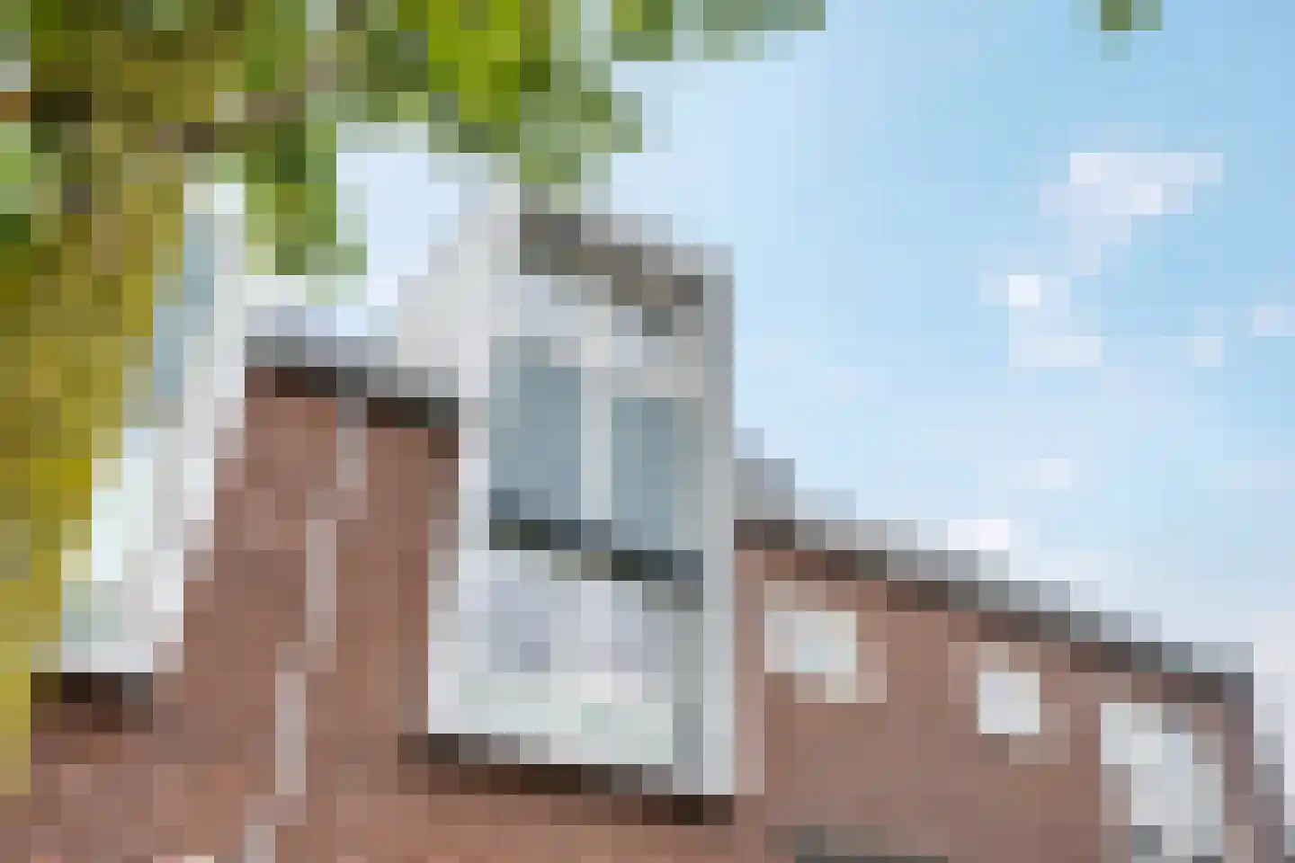 Lakensnijdersgilde 45 Hasselt thumbnail 7
