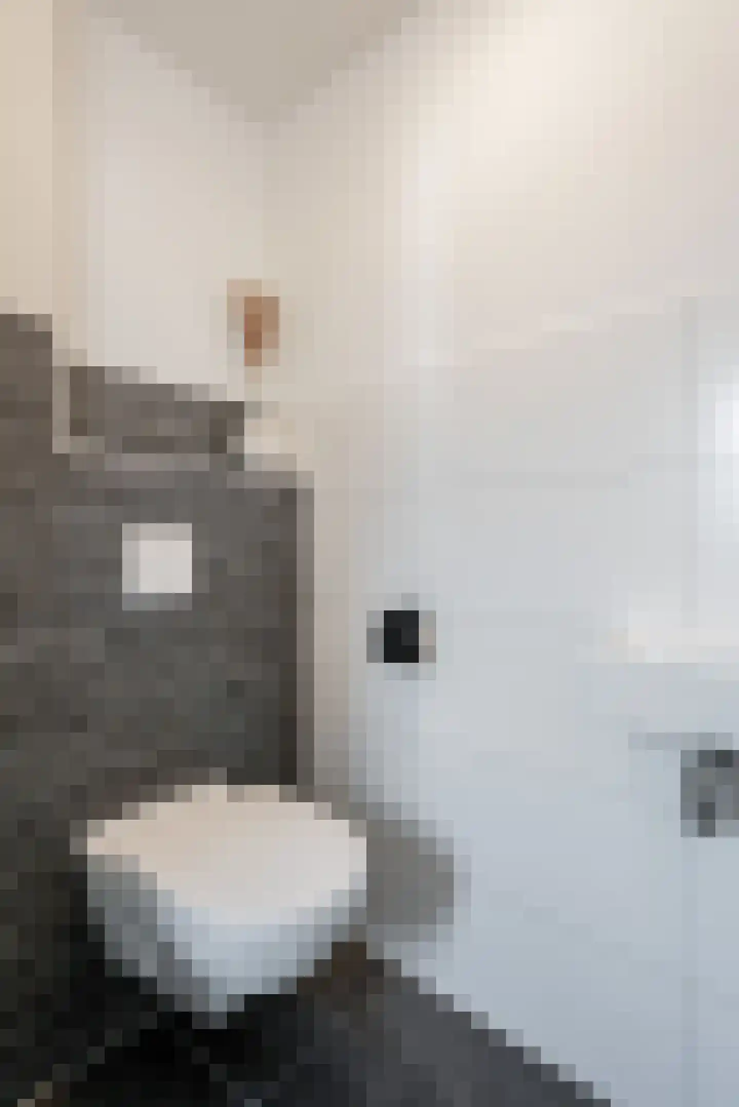 Lakensnijdersgilde 47 Hasselt thumbnail 10