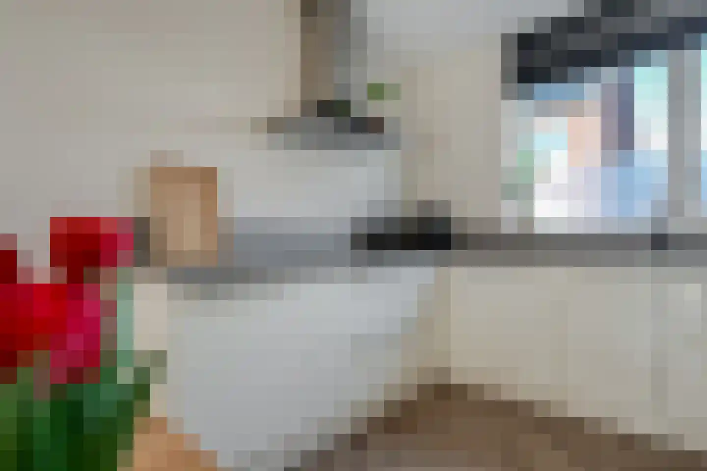 Lakensnijdersgilde 47 Hasselt thumbnail 17