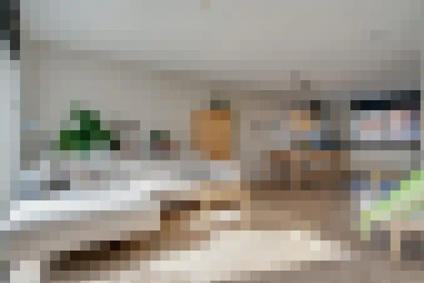 Lakensnijdersgilde 47 Hasselt thumbnail 25
