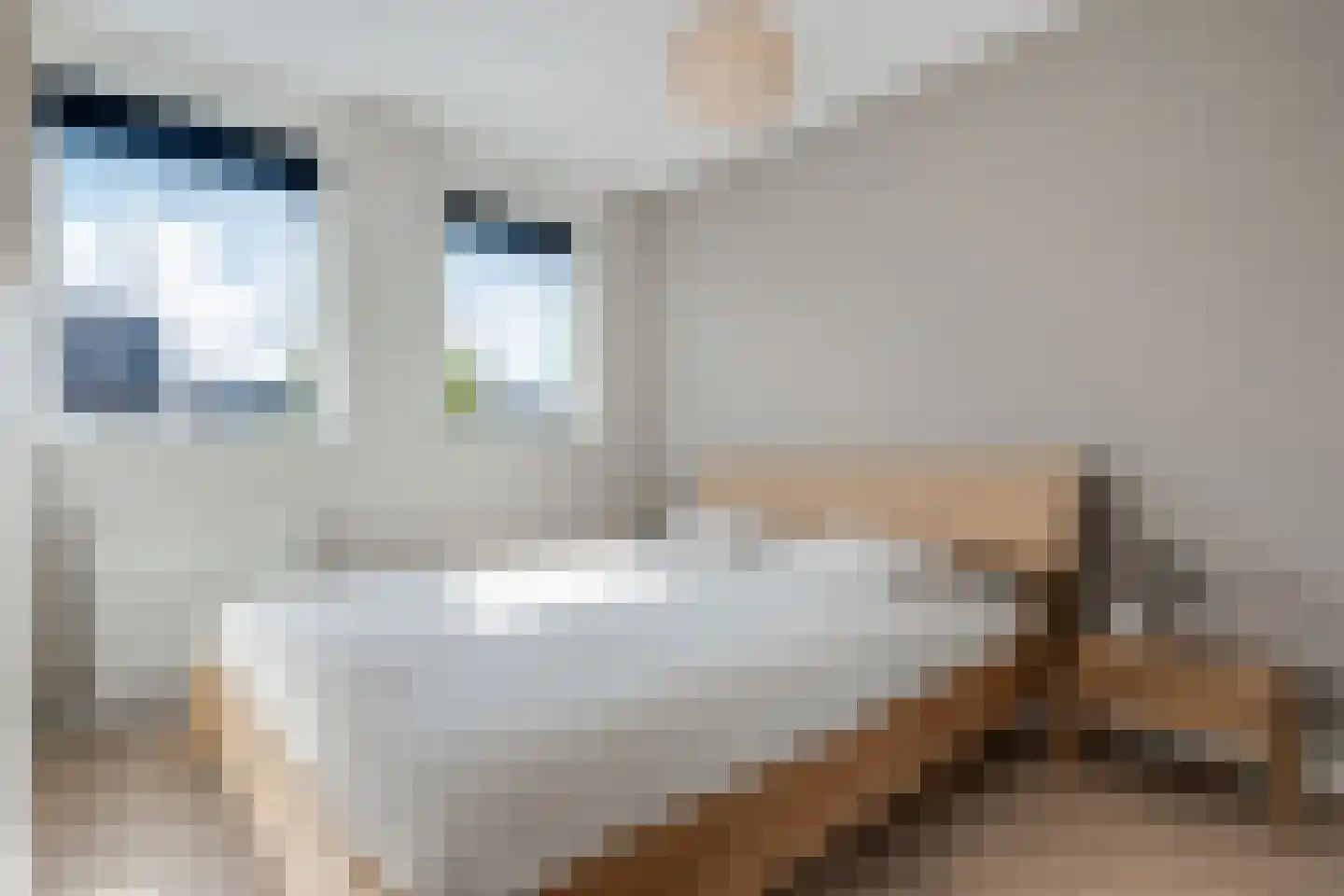 Lakensnijdersgilde 47 Hasselt thumbnail 36