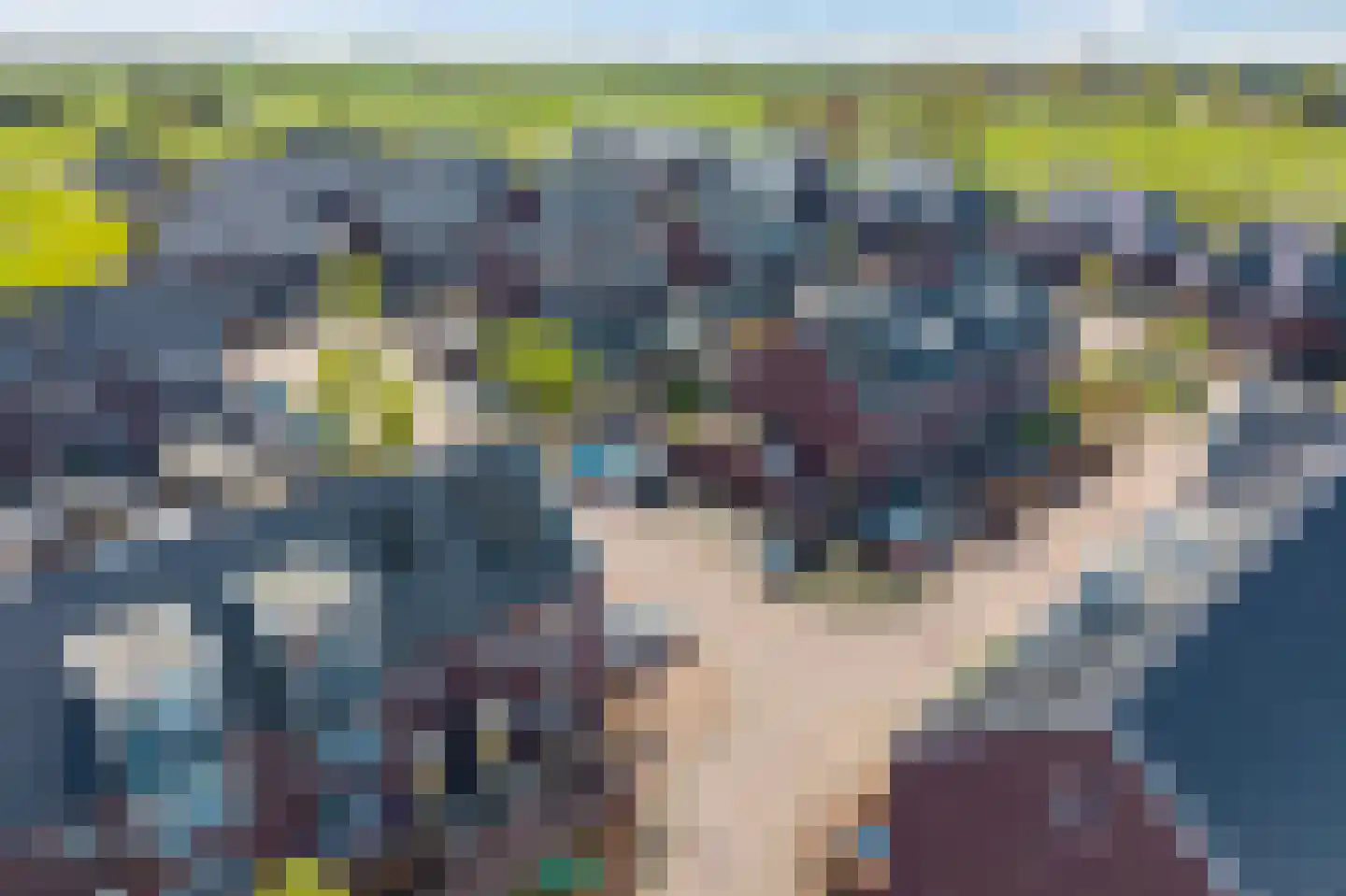 Lakensnijdersgilde 47 Hasselt thumbnail 53