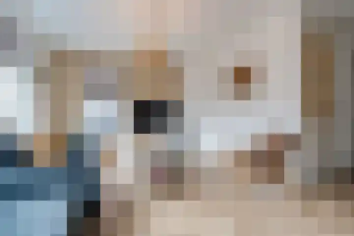 Lakensnijdersgilde 83 Hasselt thumbnail 13