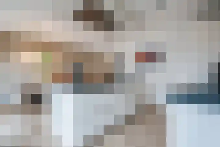 Lakensnijdersgilde 83 Hasselt thumbnail 19