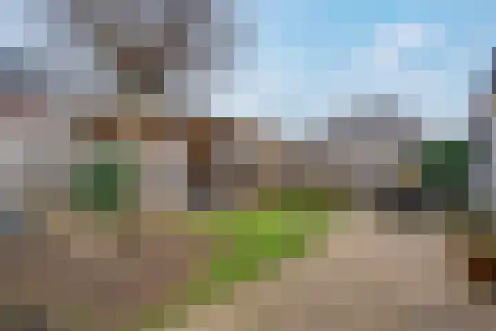 Lakensnijdersgilde 83 Hasselt thumbnail 23