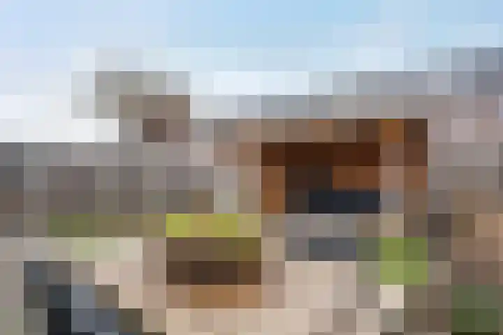 Lakensnijdersgilde 83 Hasselt thumbnail 25