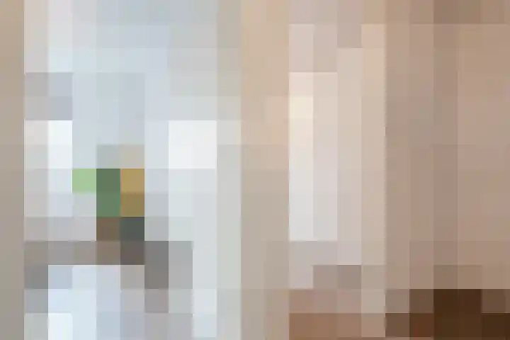 Lakensnijdersgilde 83 Hasselt thumbnail 33