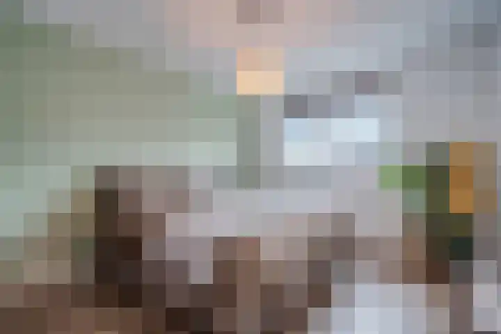 Lakensnijdersgilde 83 Hasselt thumbnail 34