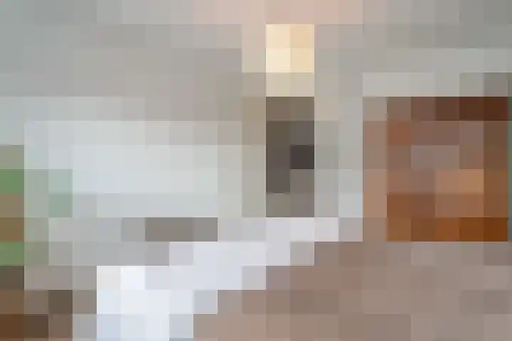 Lakensnijdersgilde 83 Hasselt thumbnail 36