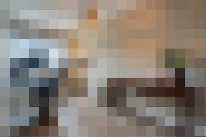 Lakensnijdersgilde 83 Hasselt thumbnail 38