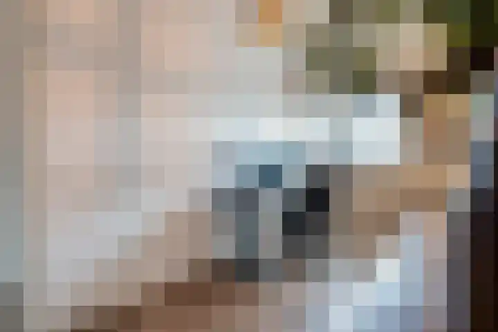 Lakensnijdersgilde 83 Hasselt thumbnail 39